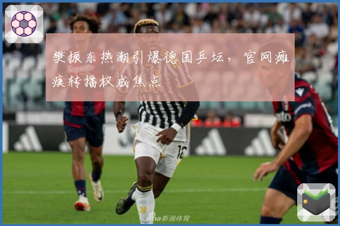 樊振东热潮引爆德国乒坛，官网瘫痪转播权成焦点